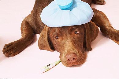 Capcom确认《生化8》PC将有新补丁 解决性能问题